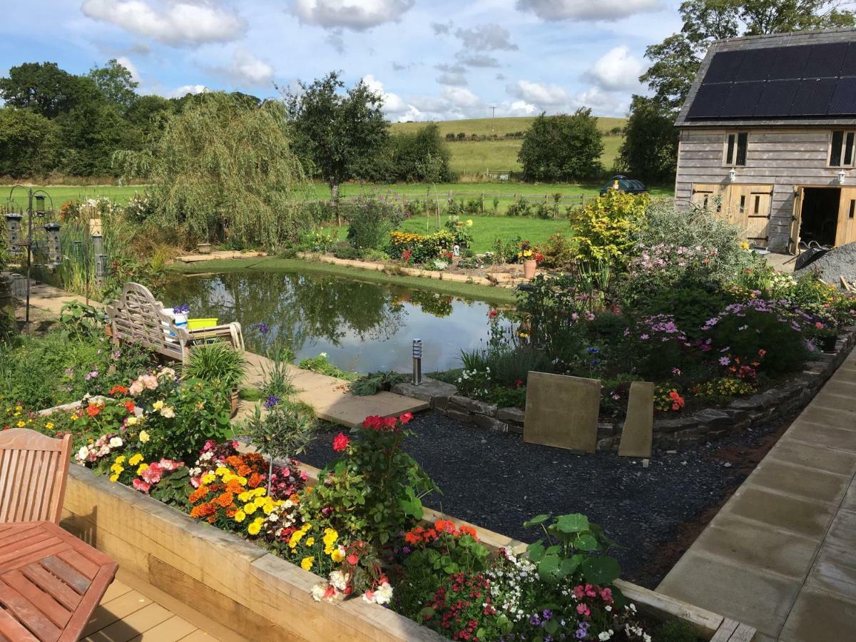Rhyd Lydan Bed & Breakfast Newtown  Bagian luar foto